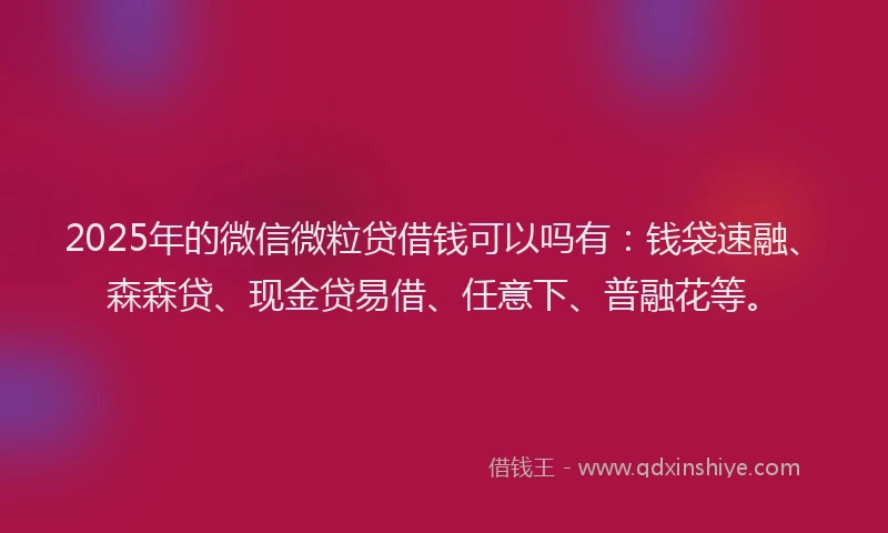 2025年的微信微粒贷借钱可以吗有：钱袋速融、森森贷、现金贷易借、任意下、普融花等。