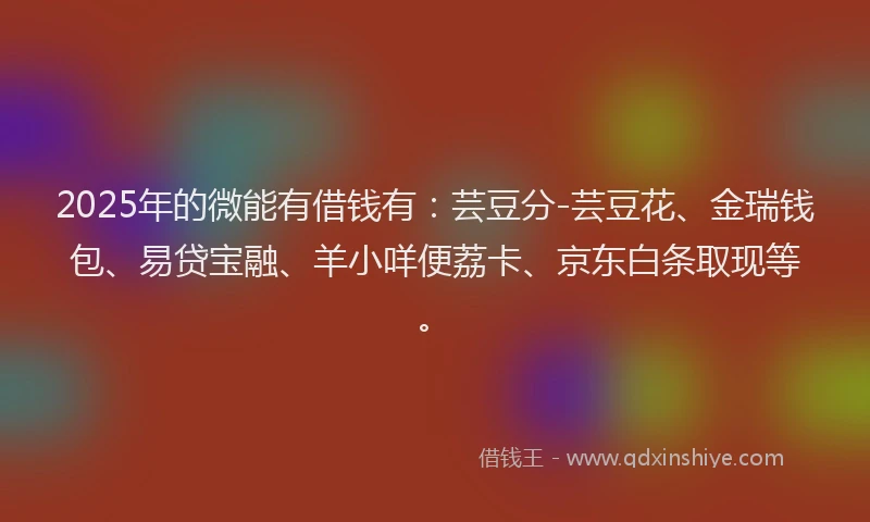 2025年的微能有借钱有：芸豆分-芸豆花、金瑞钱包、易贷宝融、羊小咩便荔卡、京东白条取现等。