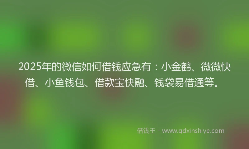 2025年的微信如何借钱应急有：小金鹤、微微快借、小鱼钱包、借款宝快融、钱袋易借通等。