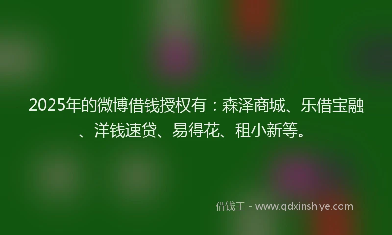 2025年的微博借钱授权有：森泽商城、乐借宝融、洋钱速贷、易得花、租小新等。