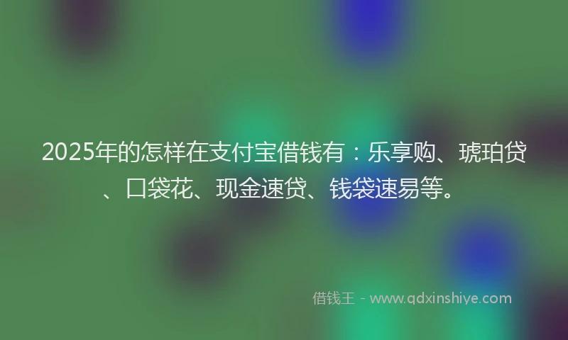 2025年的怎样在支付宝借钱有：乐享购、琥珀贷、口袋花、现金速贷、钱袋速易等。
