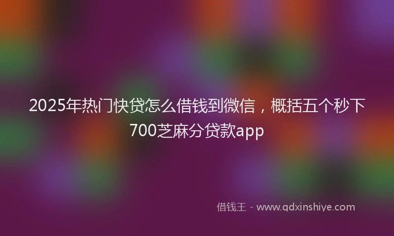 2025年热门快贷怎么借钱到微信，概括五个秒下700芝麻分贷款app
