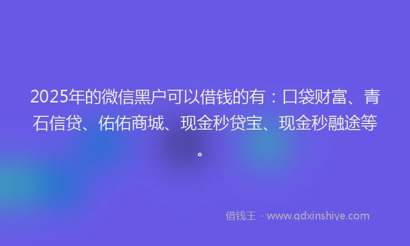 2025年的微信黑户可以借钱的有：口袋财富、青石信贷、佑佑商城、现金秒贷宝、现金秒融途等。