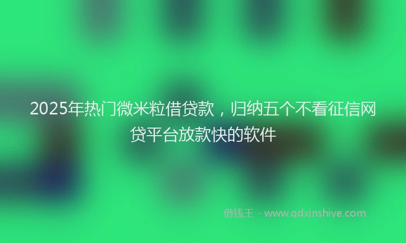 2025年热门微米粒借贷款，归纳五个不看征信网贷平台放款快的软件