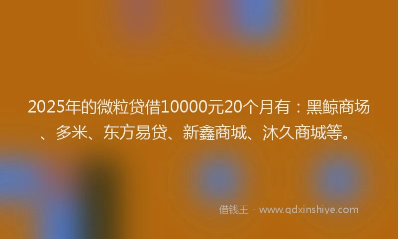 2025年的微粒贷借10000元20个月有：黑鲸商场、多米、东方易贷、新鑫商城、沐久商城等。