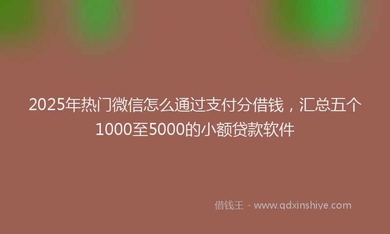 2025年热门微信怎么通过支付分借钱，汇总五个1000至5000的小额贷款软件