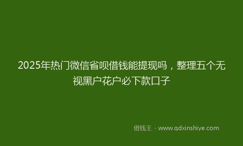 2025年热门微信省呗借钱能提现吗，整理五个无视黑户花户必下款口子