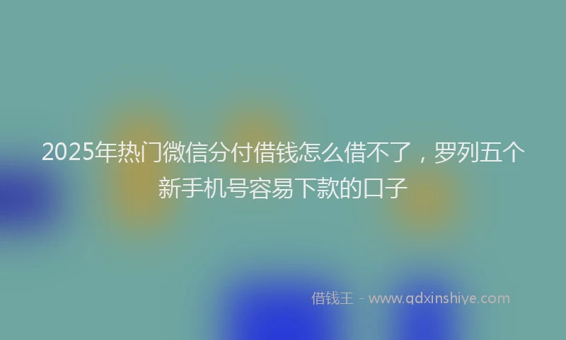 2025年热门微信分付借钱怎么借不了，罗列五个新手机号容易下款的口子