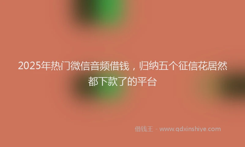 2025年热门微信音频借钱，归纳五个征信花居然都下款了的平台