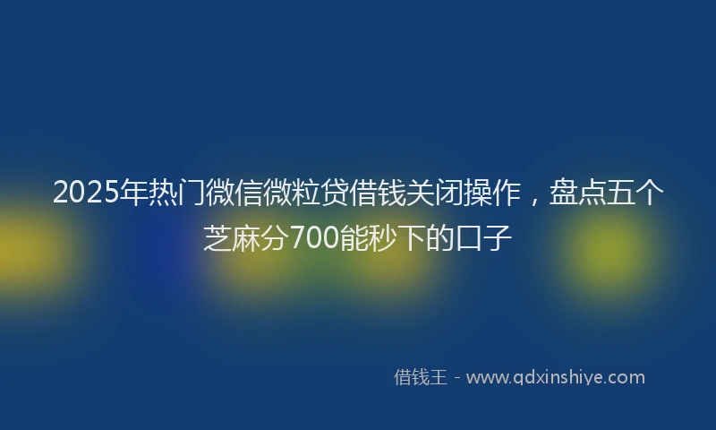 2025年热门微信微粒贷借钱关闭操作，盘点五个芝麻分700能秒下的口子