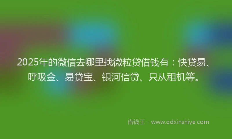 2025年的微信去哪里找微粒贷借钱有：快贷易、呼吸金、易贷宝、银河信贷、只从租机等。