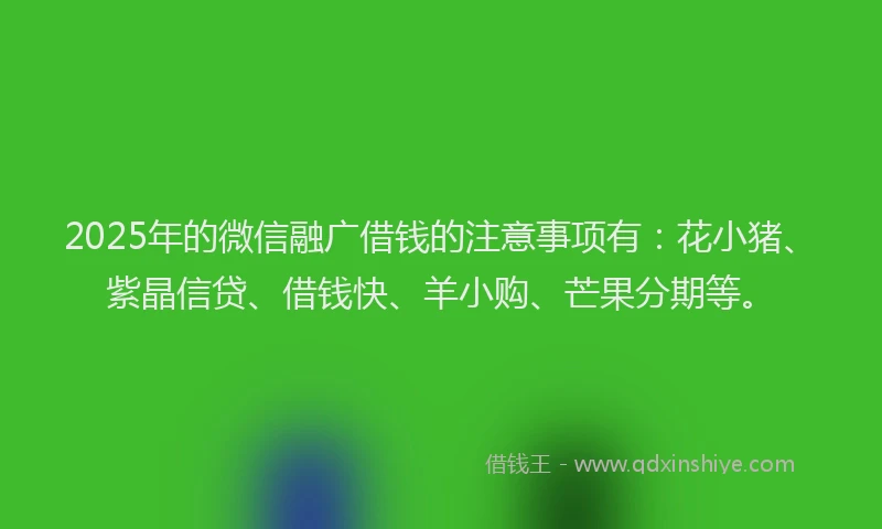 2025年的微信融广借钱的注意事项有：花小猪、紫晶信贷、借钱快、羊小购、芒果分期等。