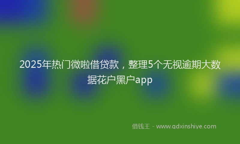 2025年热门微啦借贷款，整理5个无视逾期大数据花户黑户app