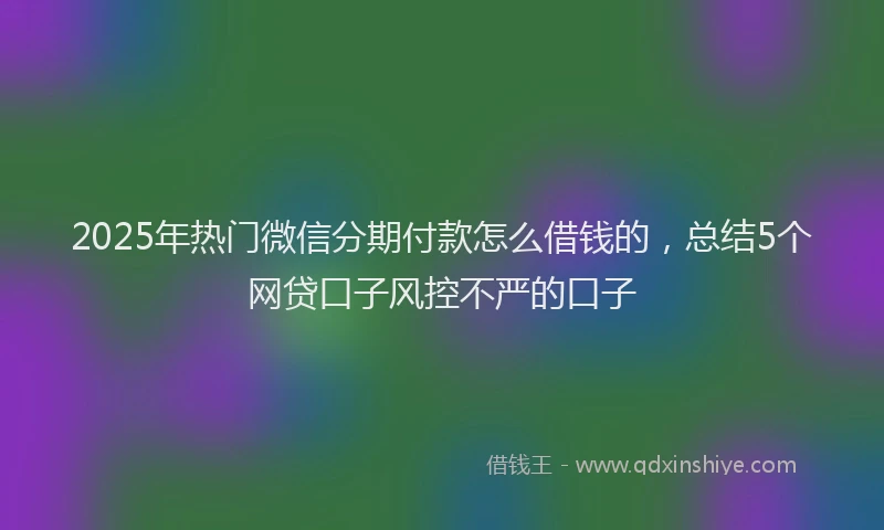 2025年热门微信分期付款怎么借钱的，总结5个网贷口子风控不严的口子