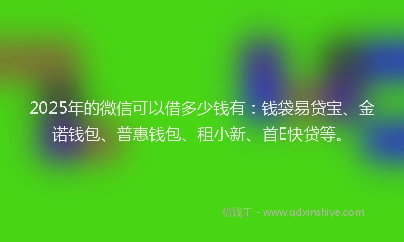 2025年的微信可以借多少钱有：钱袋易贷宝、金诺钱包、普惠钱包、租小新、首E快贷等。