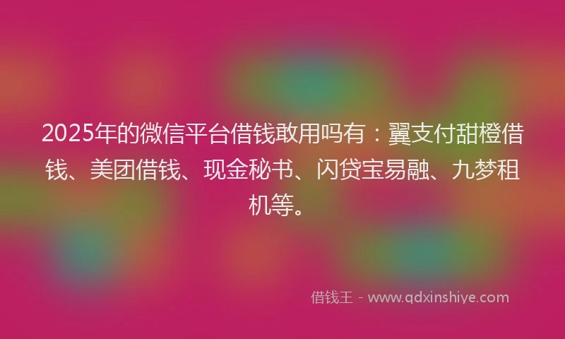 2025年的微信平台借钱敢用吗有：翼支付甜橙借钱、美团借钱、现金秘书、闪贷宝易融、九梦租机等。