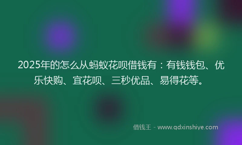 2025年的怎么从蚂蚁花呗借钱有：有钱钱包、优乐快购、宜花呗、三秒优品、易得花等。