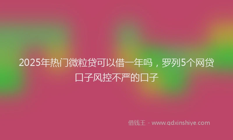 2025年热门微粒贷可以借一年吗，罗列5个网贷口子风控不严的口子