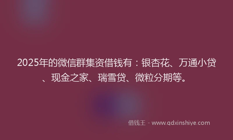 2025年的微信群集资借钱有：银杏花、万通小贷、现金之家、瑞雪贷、微粒分期等。