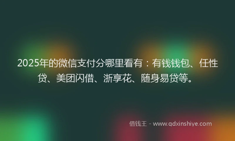 2025年的微信支付分哪里看有：有钱钱包、任性贷、美团闪借、浙享花、随身易贷等。