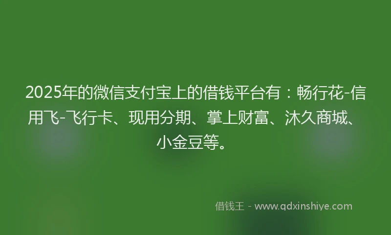 2025年的微信支付宝上的借钱平台有：畅行花-信用飞-飞行卡、现用分期、掌上财富、沐久商城、小金豆等。