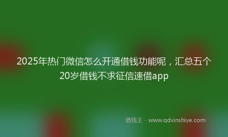 2025年热门微信怎么开通借钱功能呢，汇总五个20岁借钱不求征信速借app