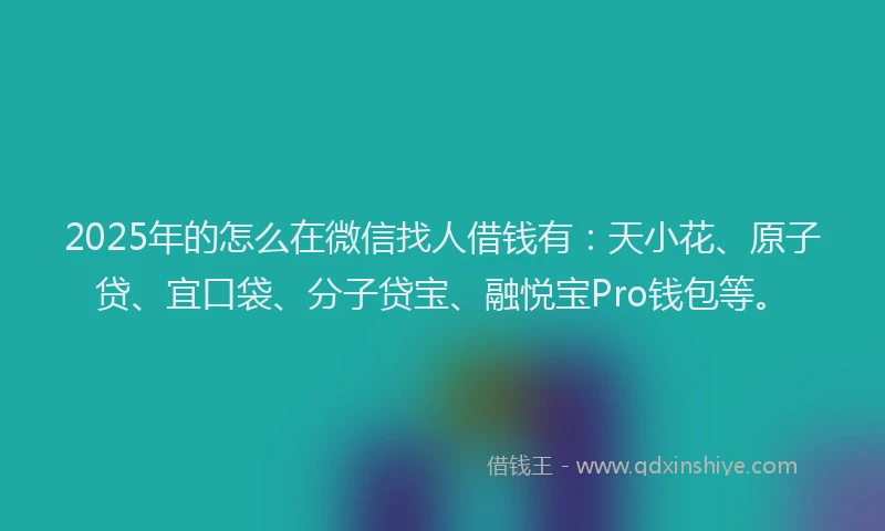 2025年的怎么在微信找人借钱有：天小花、原子贷、宜口袋、分子贷宝、融悦宝Pro钱包等。