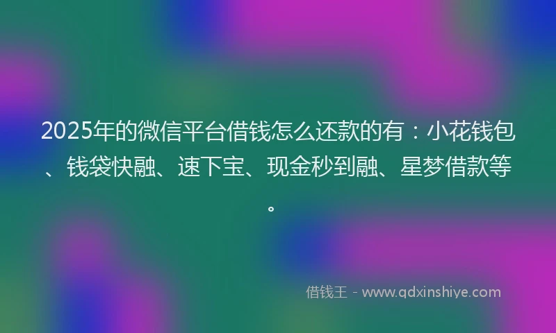 2025年的微信平台借钱怎么还款的有：小花钱包、钱袋快融、速下宝、现金秒到融、星梦借款等。