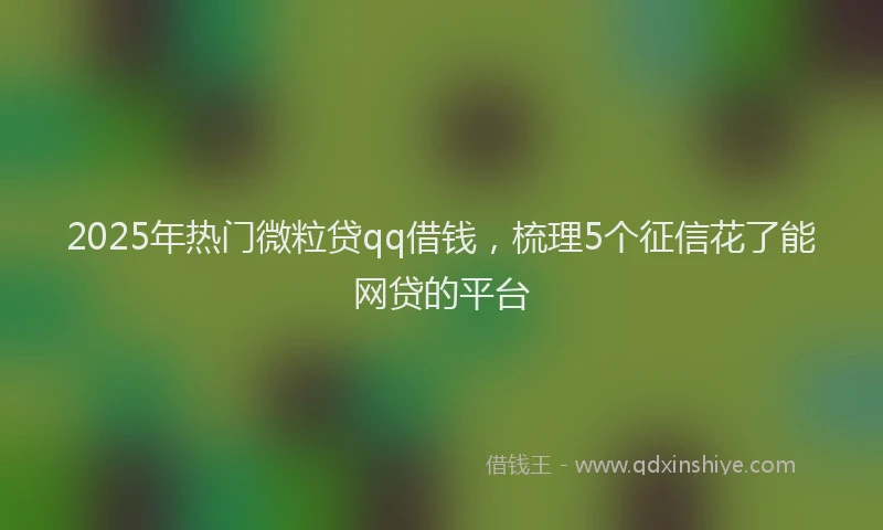 2025年热门微粒贷qq借钱，梳理5个征信花了能网贷的平台