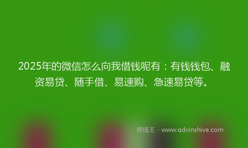 2025年的微信怎么向我借钱呢有：有钱钱包、融资易贷、随手借、易速购、急速易贷等。