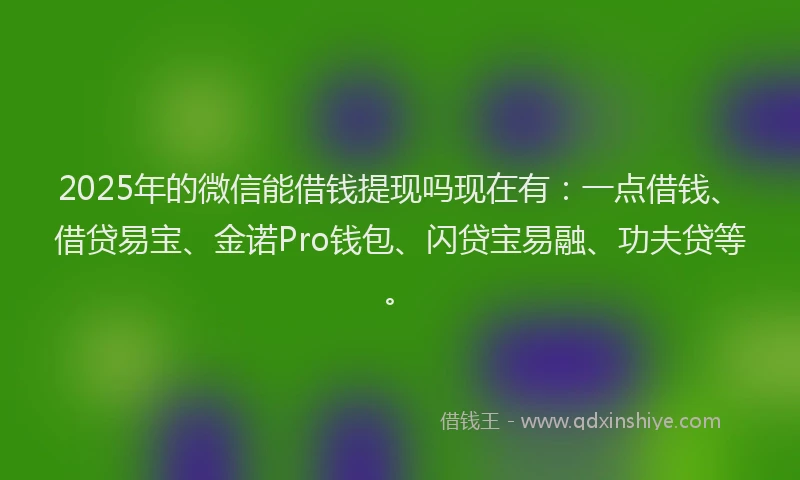 2025年的微信能借钱提现吗现在有:一点借钱、借贷易宝、金诺Pro钱包、闪贷宝易融、功夫贷等。