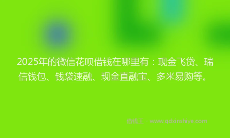2025年的微信花呗借钱在哪里有：现金飞贷、瑞信钱包、钱袋速融、现金直融宝、多米易购等。