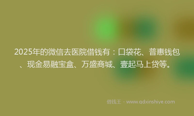 2025年的微信去医院借钱有：口袋花、普惠钱包、现金易融宝盒、万盛商城、壹起马上贷等。