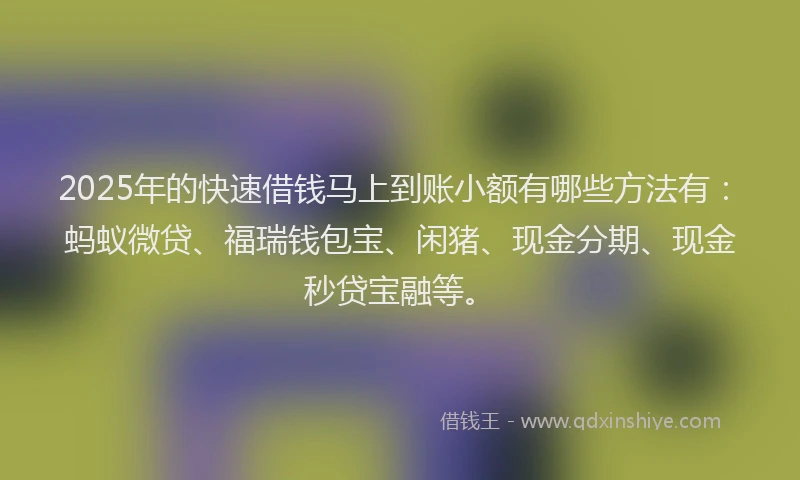 2025年的快速借钱马上到账小额有哪些方法有：蚂蚁微贷、福瑞钱包宝、闲猪、现金分期、现金秒贷宝融等。