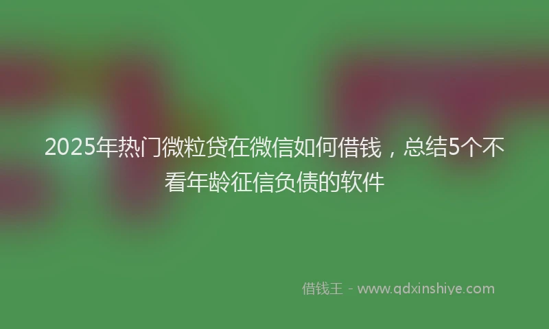2025年热门微粒贷在微信如何借钱，总结5个不看年龄征信负债的软件