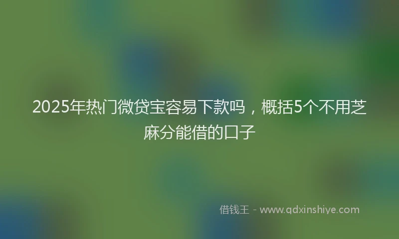 2025年热门微贷宝容易下款吗，概括5个不用芝麻分能借的口子