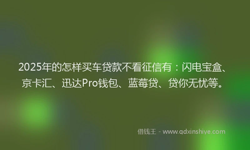 2025年的怎样买车贷款不看征信有：闪电宝盒、京卡汇、迅达Pro钱包、蓝莓贷、贷你无忧等。