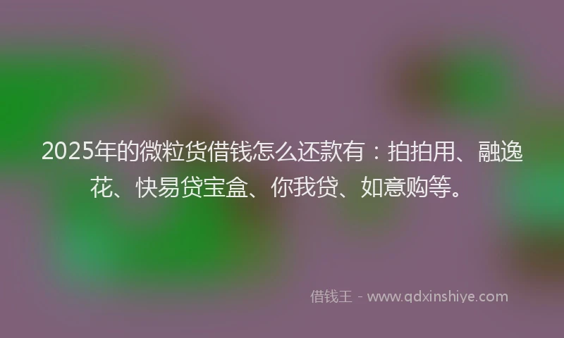 2025年的微粒货借钱怎么还款有：拍拍用、融逸花、快易贷宝盒、你我贷、如意购等。