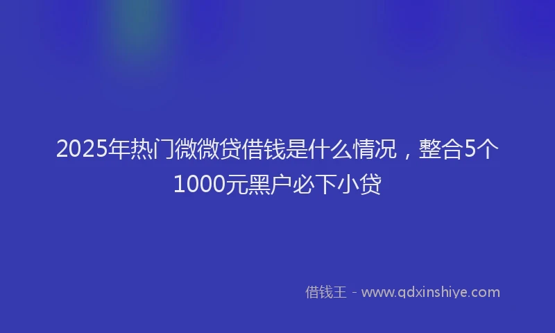 2025年热门微微贷借钱是什么情况，整合5个1000元黑户必下小贷