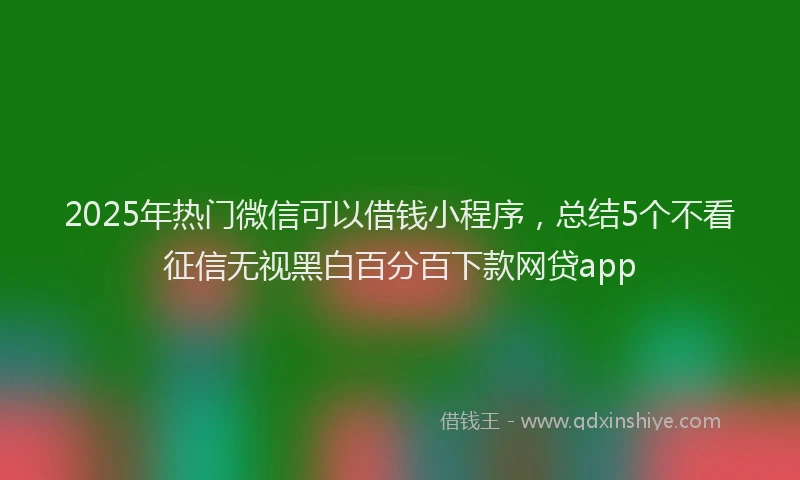 2025年热门微信可以借钱小程序，总结5个不看征信无视黑白百分百下款网贷app