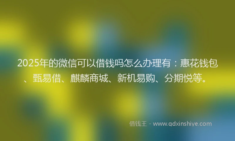 2025年的微信可以借钱吗怎么办理有：惠花钱包、甄易借、麒麟商城、新机易购、分期悦等。