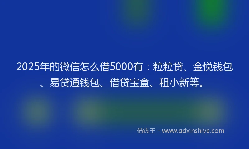 2025年的微信怎么借5000有：粒粒贷、金悦钱包、易贷通钱包、借贷宝盒、租小新等。