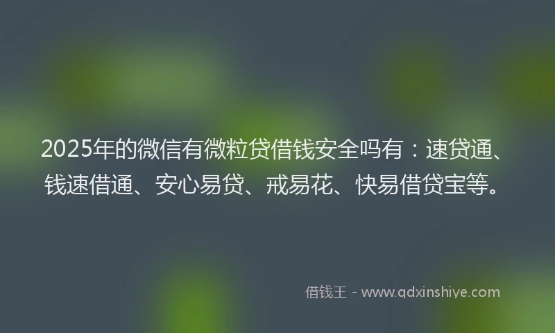 2025年的微信有微粒贷借钱安全吗有：速贷通、钱速借通、安心易贷、戒易花、快易借贷宝等。