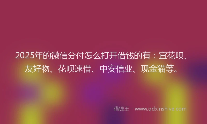 2025年的微信分付怎么打开借钱的有：宜花呗、友好物、花呗速借、中安信业、现金猫等。