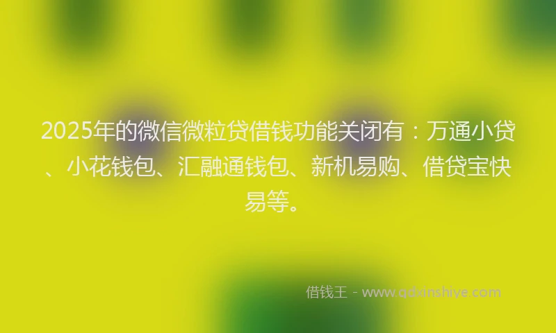 2025年的微信微粒贷借钱功能关闭有：万通小贷、小花钱包、汇融通钱包、新机易购、借贷宝快易等。