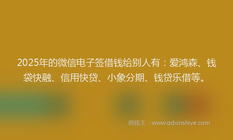 2025年的微信电子签借钱给别人有：爱鸿森、钱袋快融、信用快贷、小象分期、钱贷乐借等。