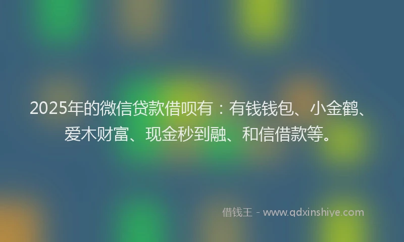 2025年的微信贷款借呗有：有钱钱包、小金鹤、爱木财富、现金秒到融、和信借款等。
