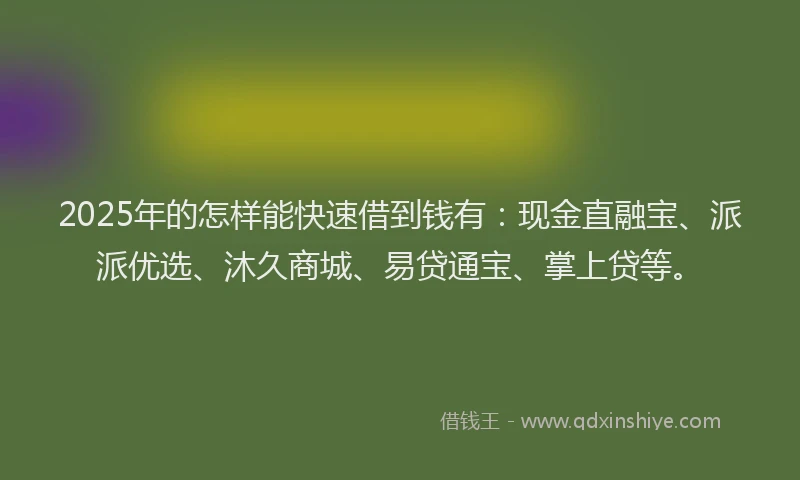 2025年的怎样能快速借到钱有：现金直融宝、派派优选、沐久商城、易贷通宝、掌上贷等。