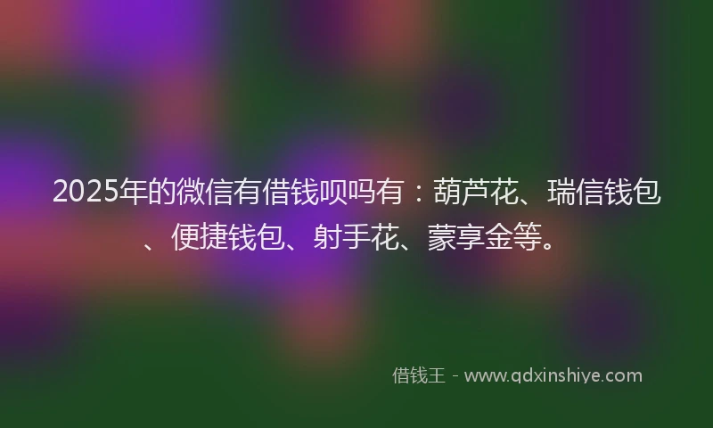 2025年的微信有借钱呗吗有：葫芦花、瑞信钱包、便捷钱包、射手花、蒙享金等。