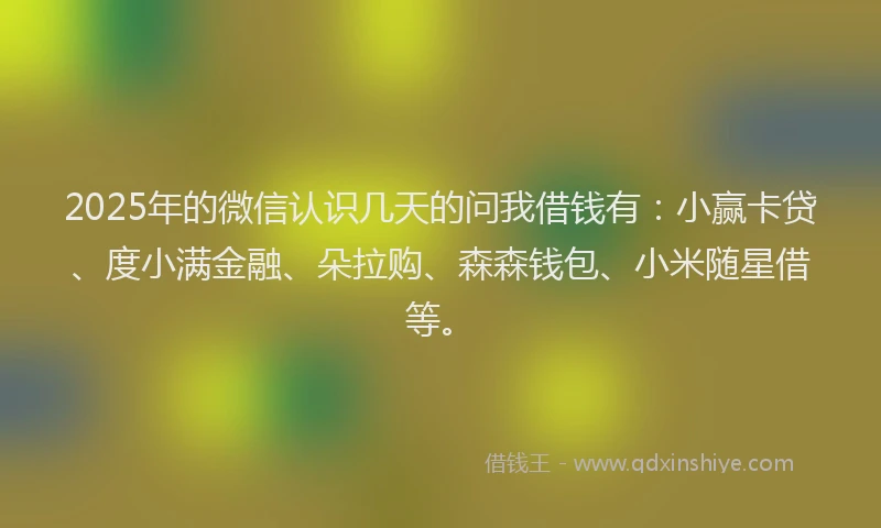 2025年的微信认识几天的问我借钱有：小赢卡贷、度小满金融、朵拉购、森森钱包、小米随星借等。